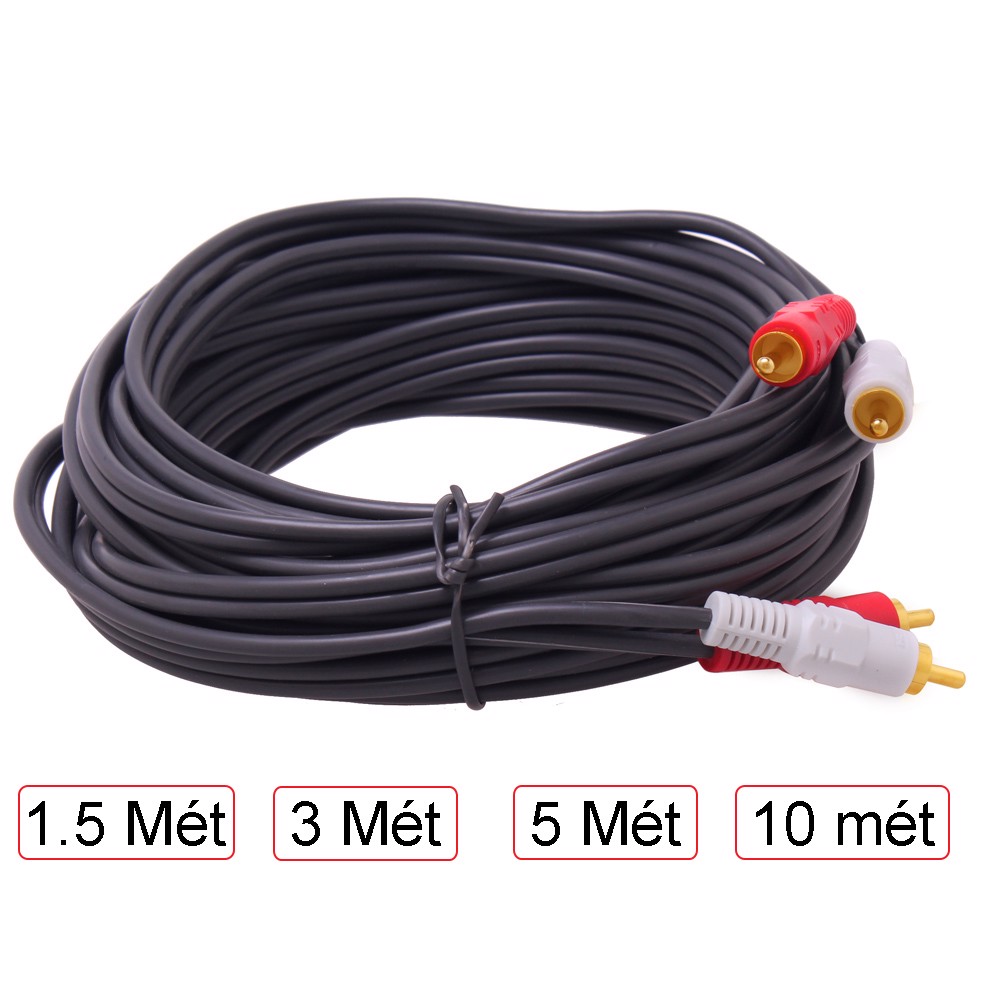 CÁP ÂM THANH AUDIO 2-2 ĐẦU HOA SEN DTECH DT-6203