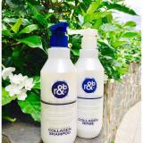 Dầu Gội Ngăn Rụng Tóc R&B Collagen Shampoo