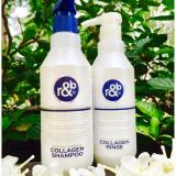 Dầu Gội Ngăn Rụng Tóc R&B Collagen Shampoo