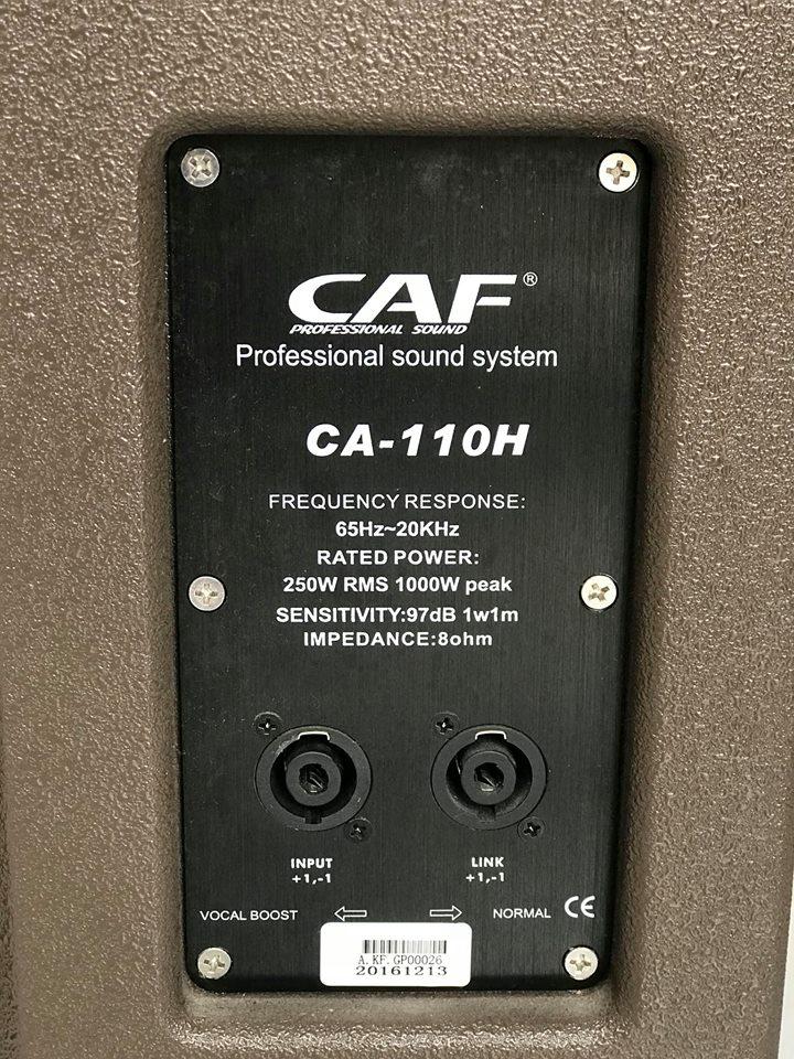 Loa cặp CAF CA110H new 2019