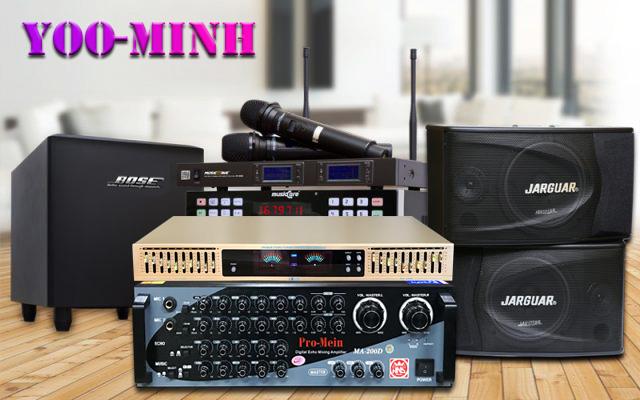 Lọc âm Equalizer Yoo-Minh EQ-33