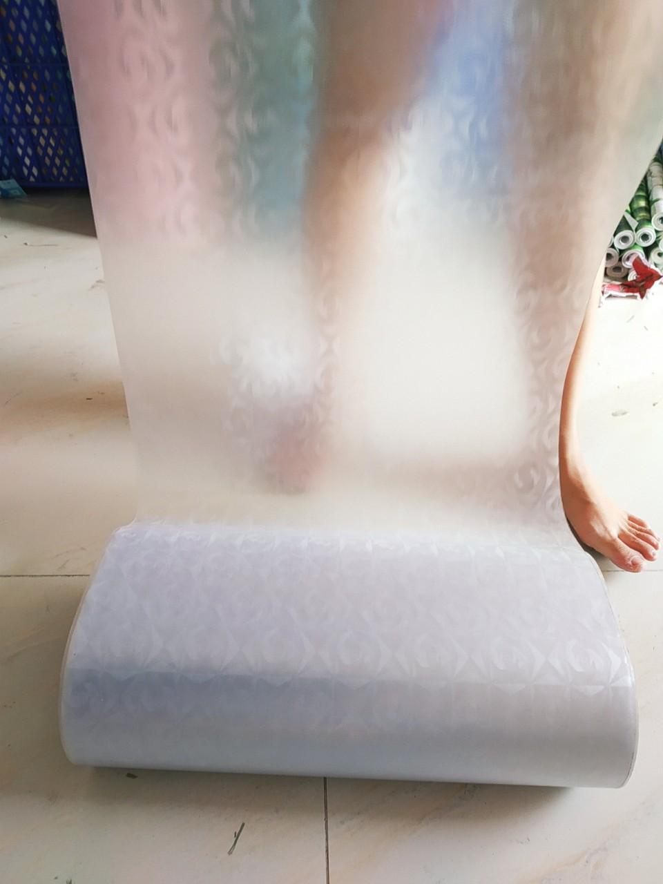 Decal hoa đồng tiền PK109