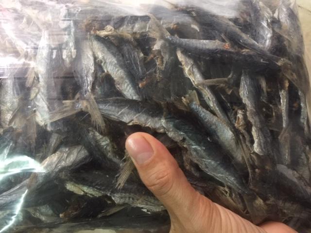 Cá chuồn mít