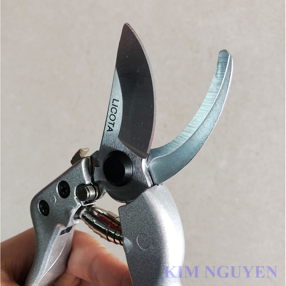 KÉO CẮT CÀNH MỎ CONG LICOTA TGP-00521