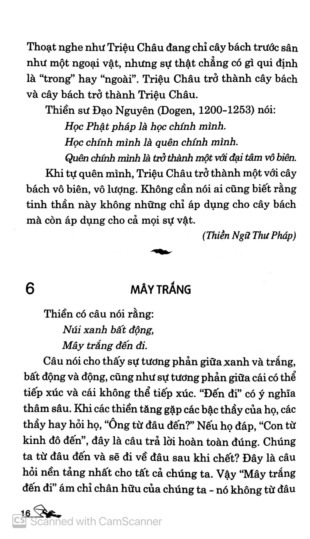Dạo Bước Vườn Thiền