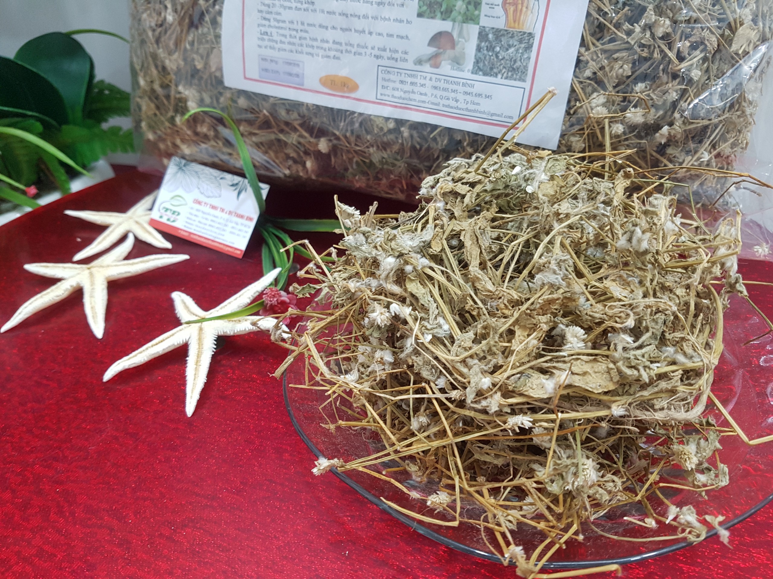 Cây nở ngày đất 1kg