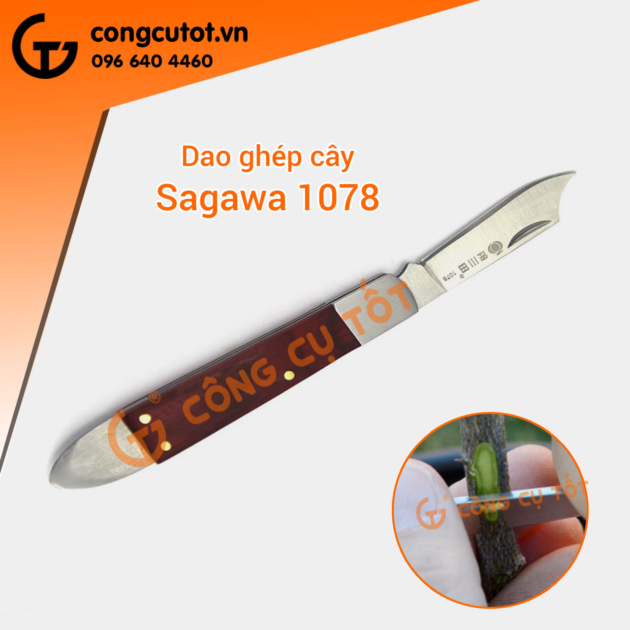 DAO GHÉP CÀNH CÂY SAGAWA 1078