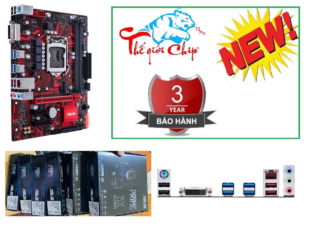 Mainboard ASUS EX-B250M-V5