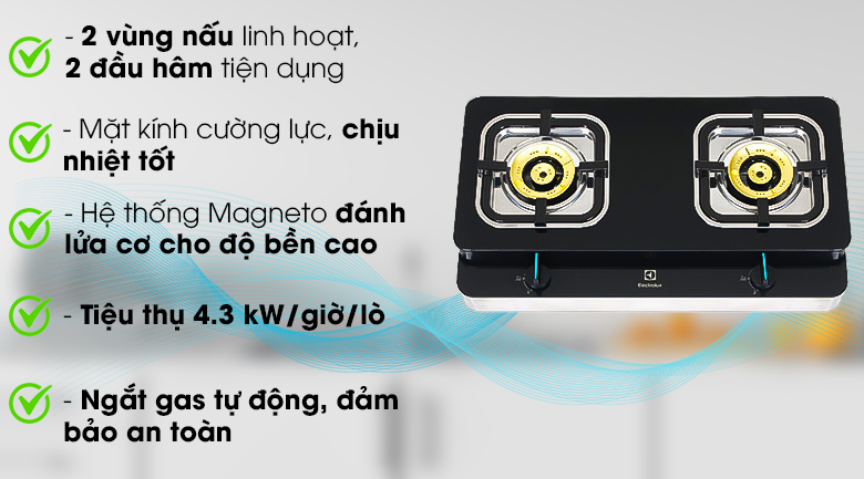 Bếp gas Electrolux ETG729GKTR đôi