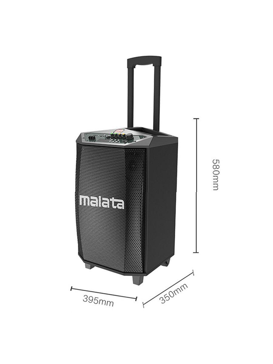 Loa kẹo kéo Malata 9017