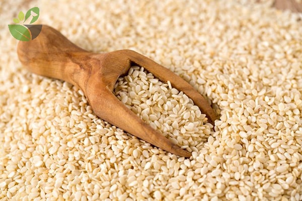 Hạt mè hữu cơ Sottolestelle 250g