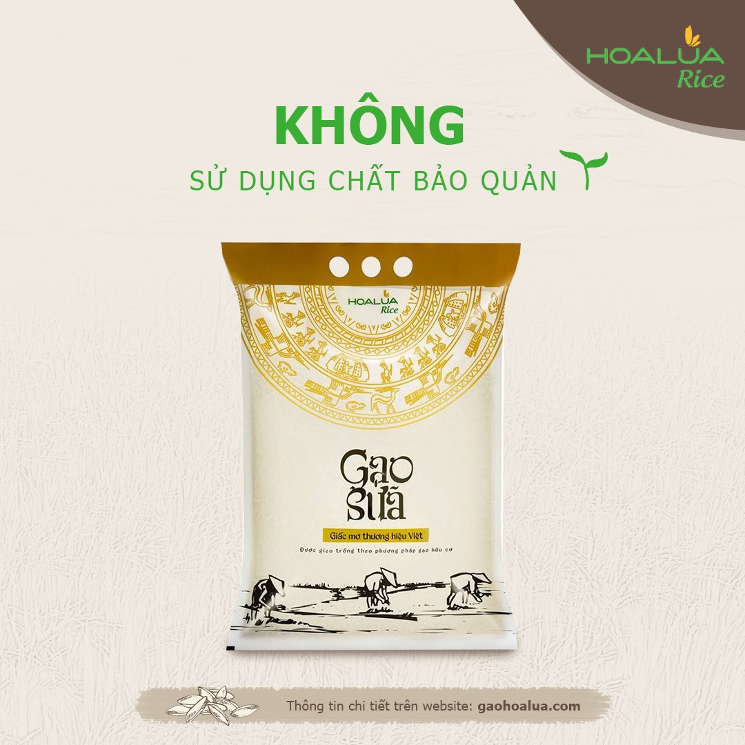 Gạo Sữa Hoa Lúa 5Kg