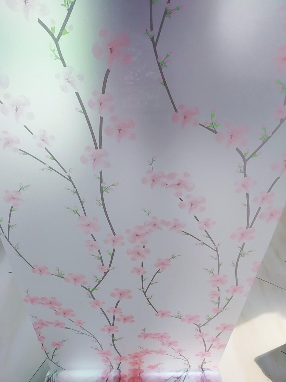 Decal hoa đồng tiền đỏ PK111