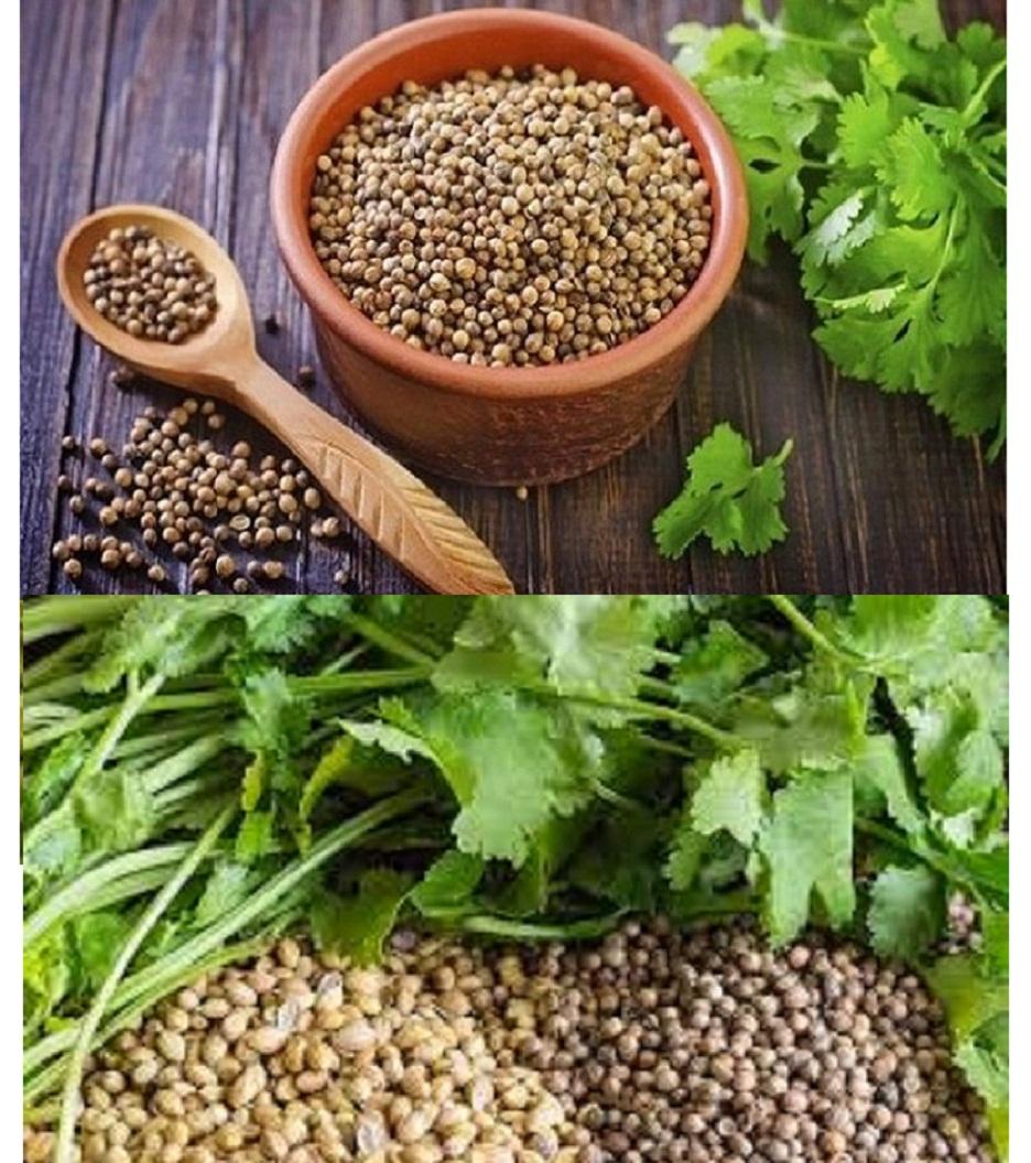 Hạt mùi 200g