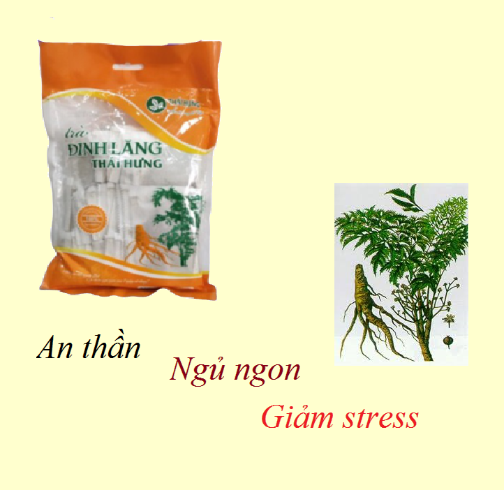 Trà đinh lăng Thái Hưng 50 túi loc