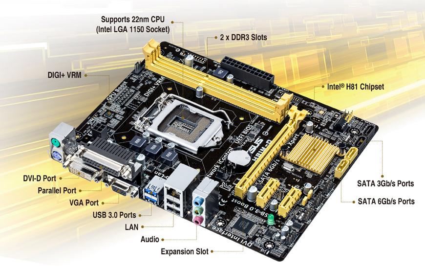 Mainboard Asus H81M-D