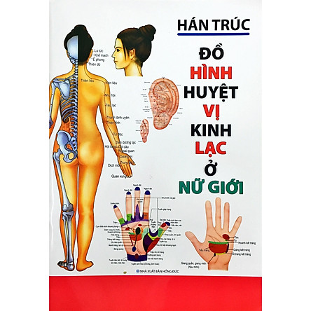Đồ hình huyệt vị kinh lạc ở nữ giới