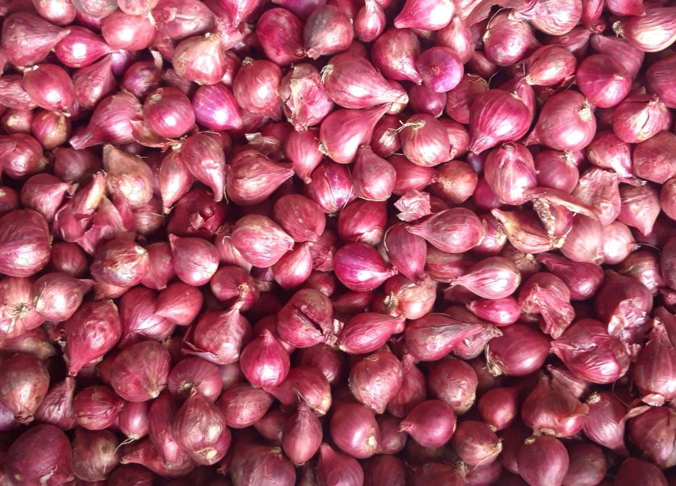 Hành tím Sóc Trăng 1kg