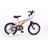 Xe đạp trẻ em Lanq FD1640