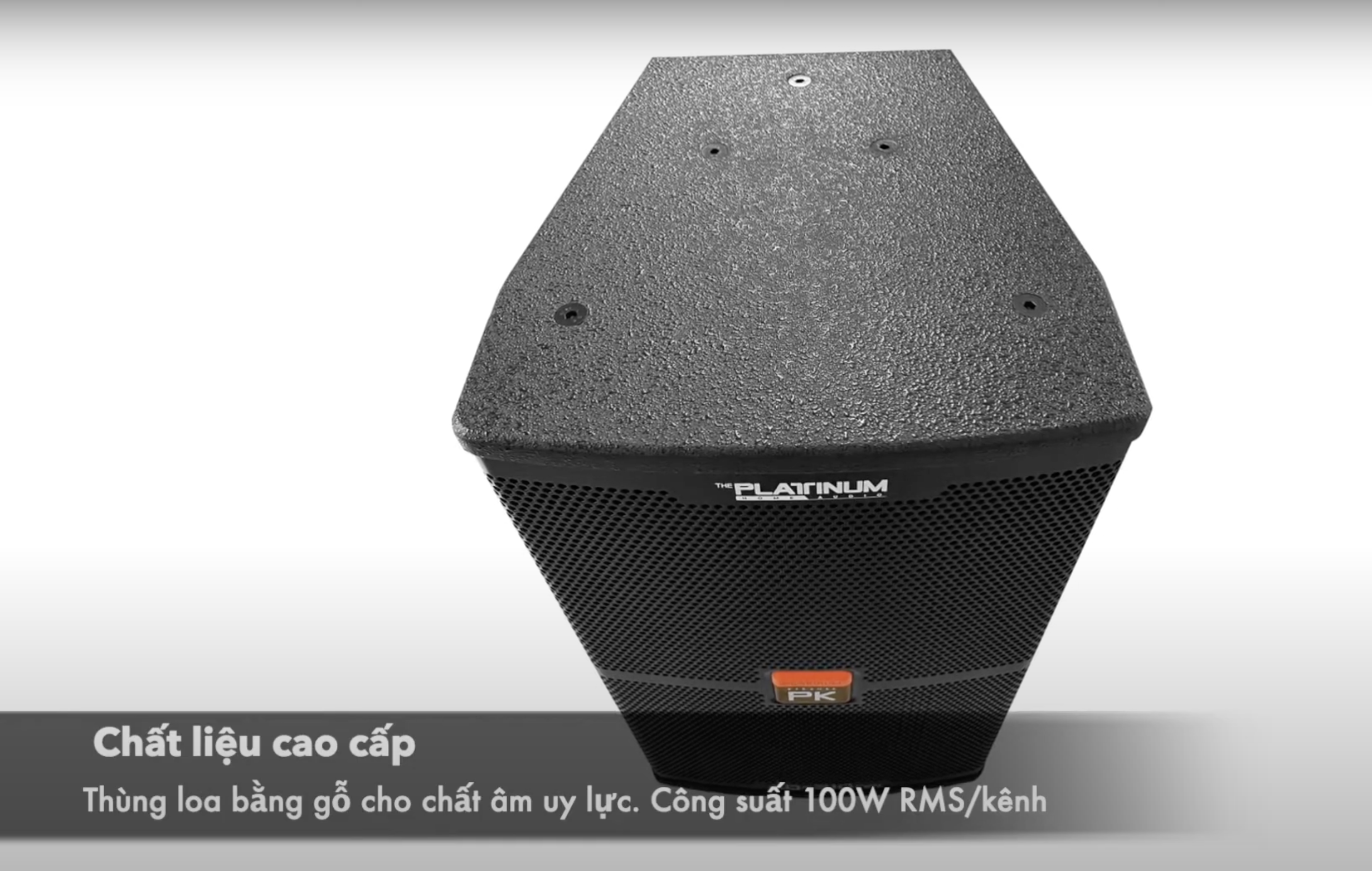 Loa Platinum AD-310 Pro