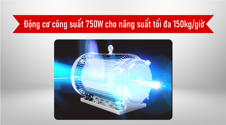 Máy Thái Thịt DQ-1
