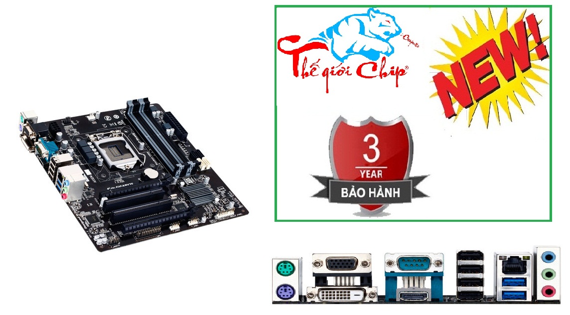 Mainboard Gigabyte H81M-D3H