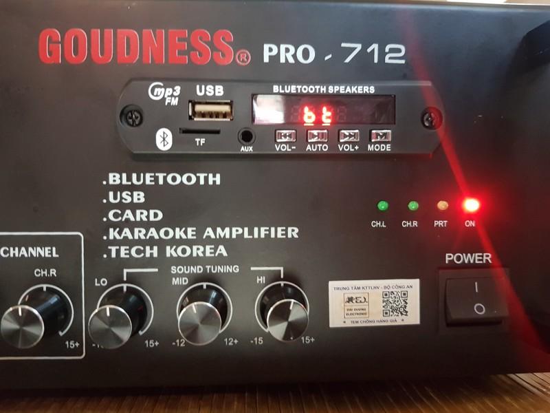 Amply karaoke bluetooth GOUDNEES PRO 712