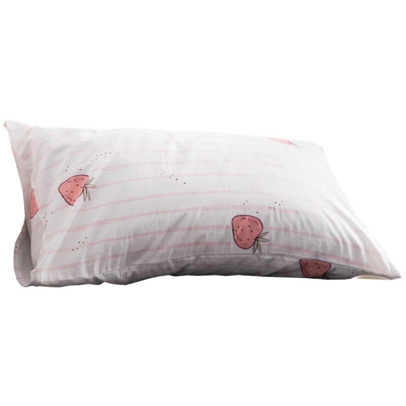 Bắc Âu Trong Gió 100% Cotton Đơn Chiếc Vỏ Gối 100% Cotton Giản Lược Đơn Vỏ GốI Hai Chỉ 48x74cm Một Cặp