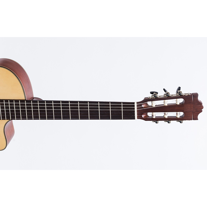 Đàn guitar DC350