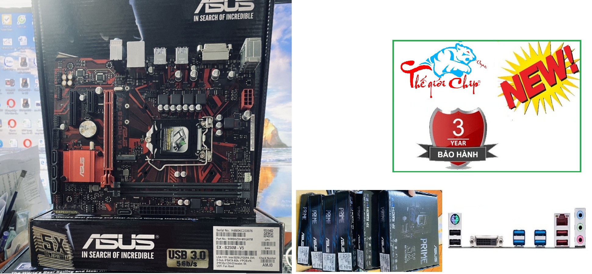 Mainboard ASUS EX-B250M-V5