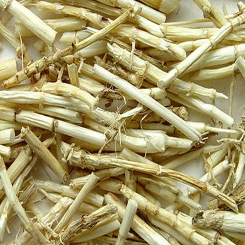 Rễ cỏ tranh 1kg