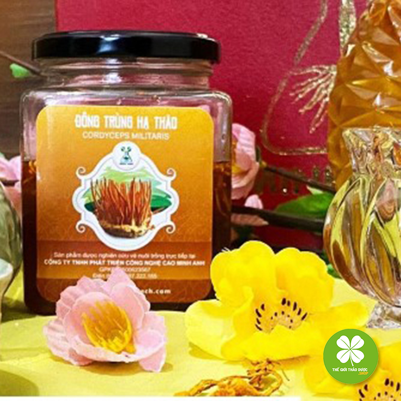 Aó thun tay dài nữ TD235