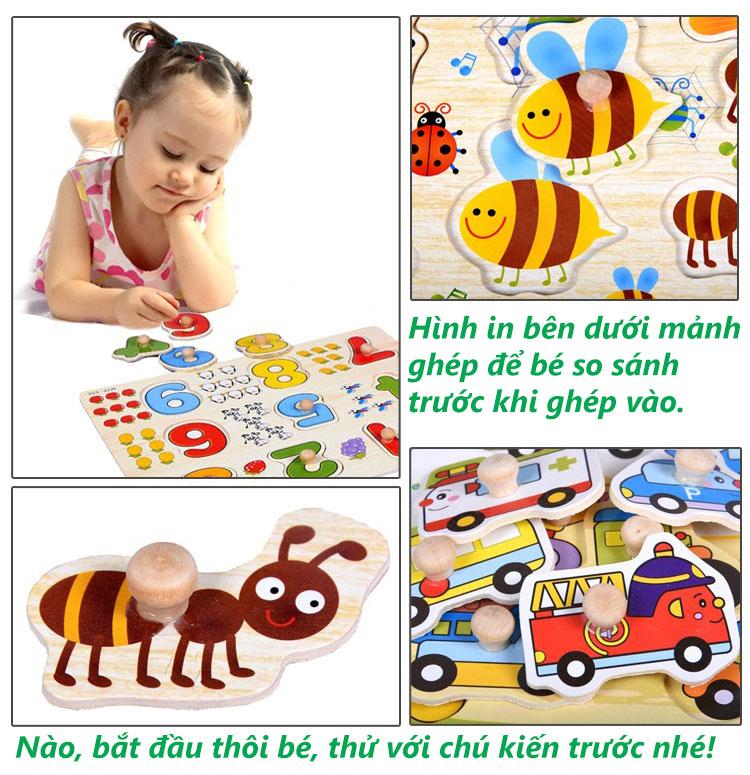 Bảng Gỗ Ghép Hình Có Núm - Lớp học