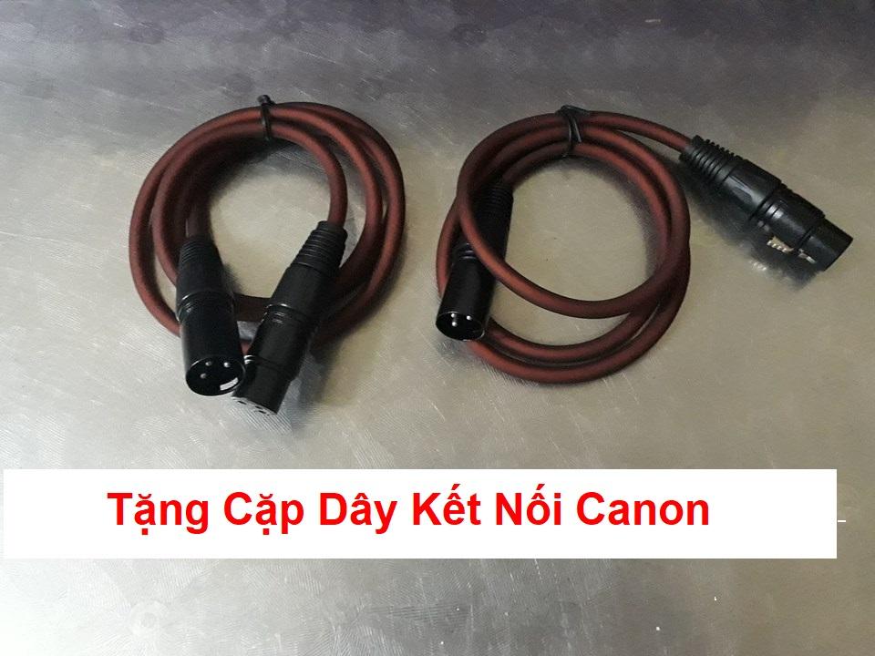 Vang Cơ karaoke DBX 228 Plus/SX