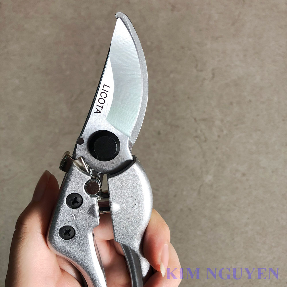 KÉO CẮT CÀNH MỎ CONG LICOTA TGP-00521
