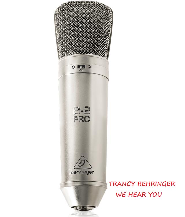 Micro phòng thu condenser Behringer B-2 Pro