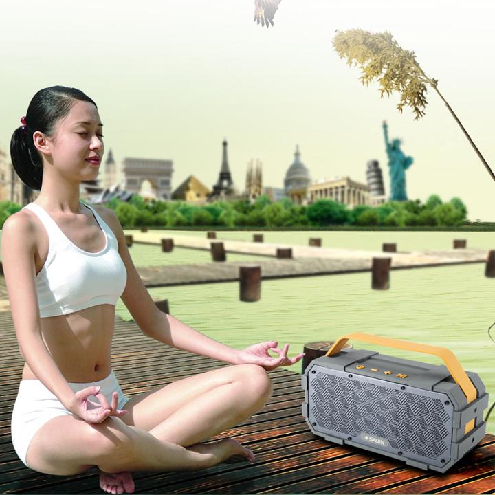 Loa Bluetooth SANSUI S20