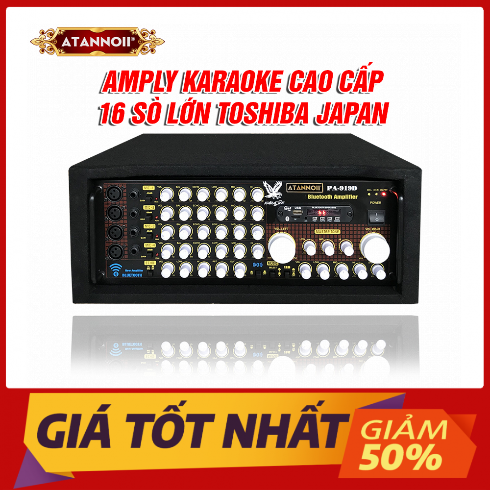 Ampli karaoke ATANNOII PA-919D