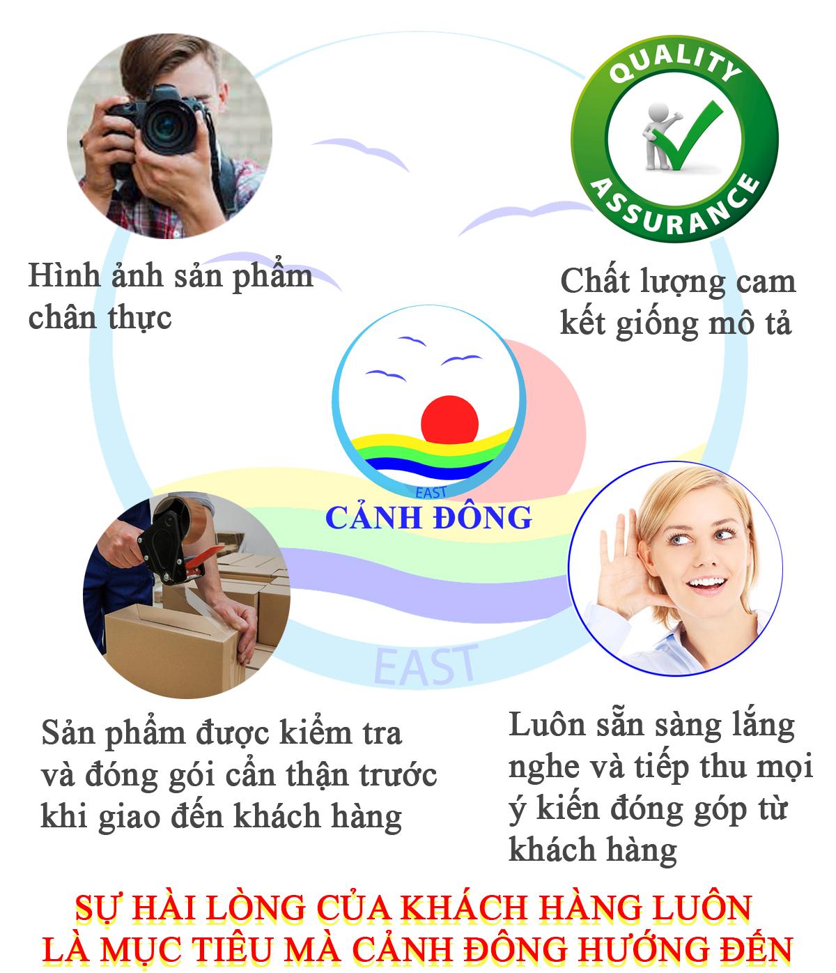 Decal Hoa Sen Vàng Binbin PK137