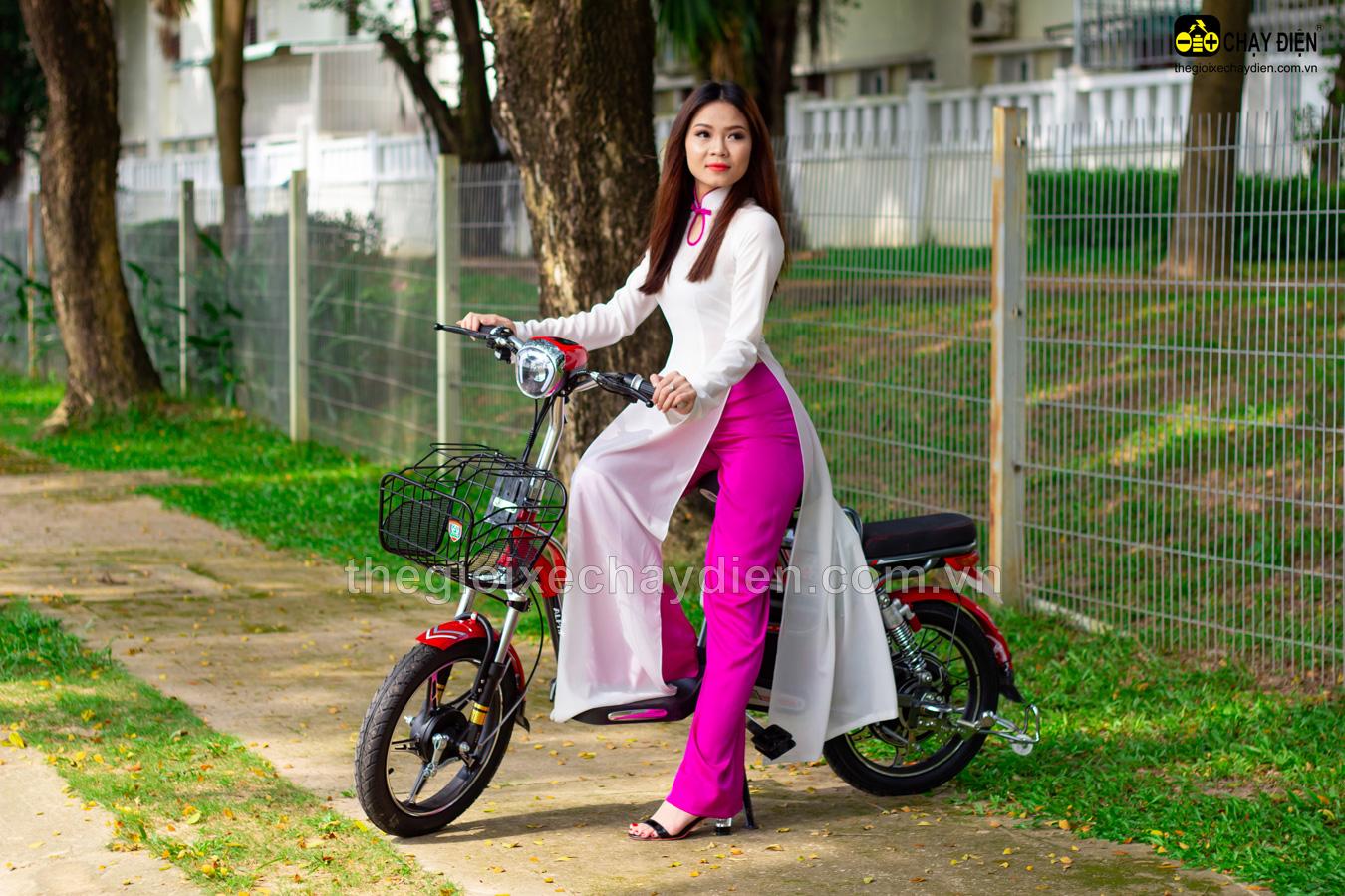 Xe đạp điện Alpha A2