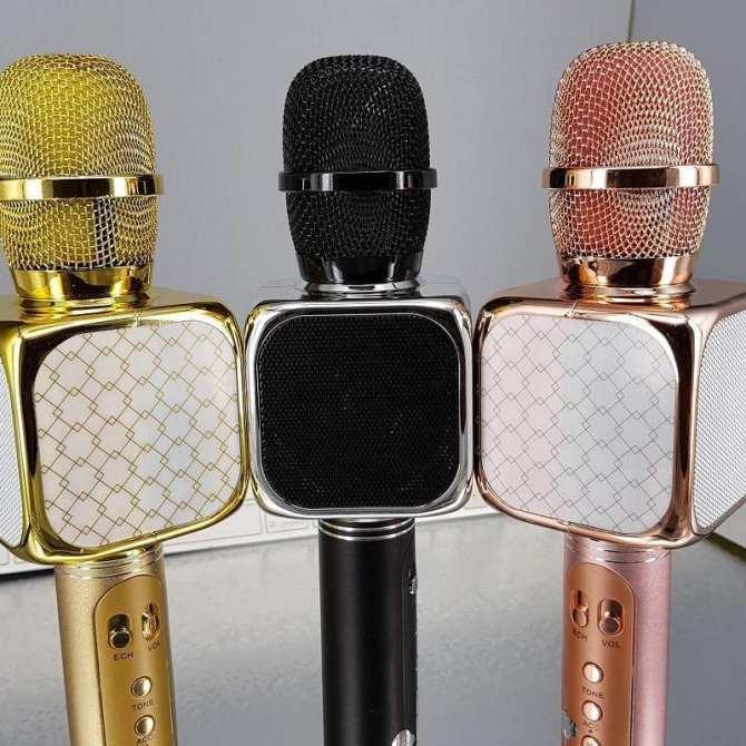MICRO KARAOKE YS69