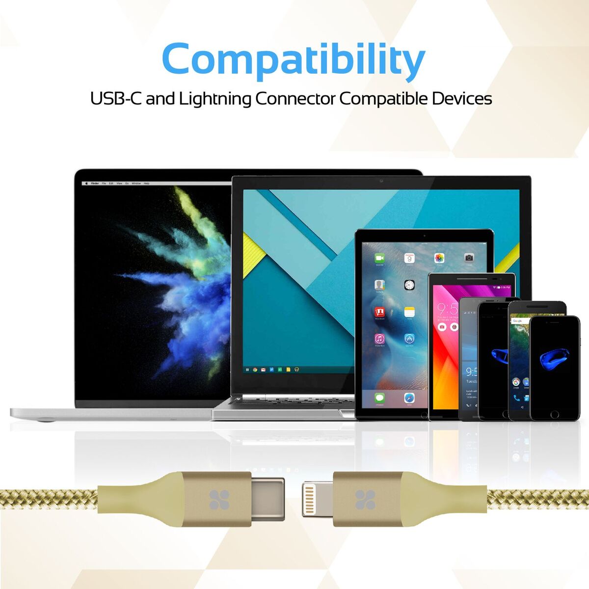 Cáp chuyển đổi Promate UniLink LTC2
