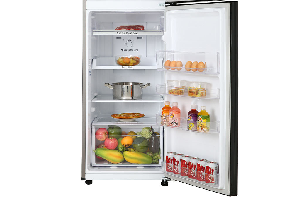 Tủ lạnh Samsung RT25M4032BY/SV Inverter 256 lít