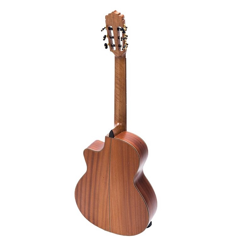 Đàn guitar DC350