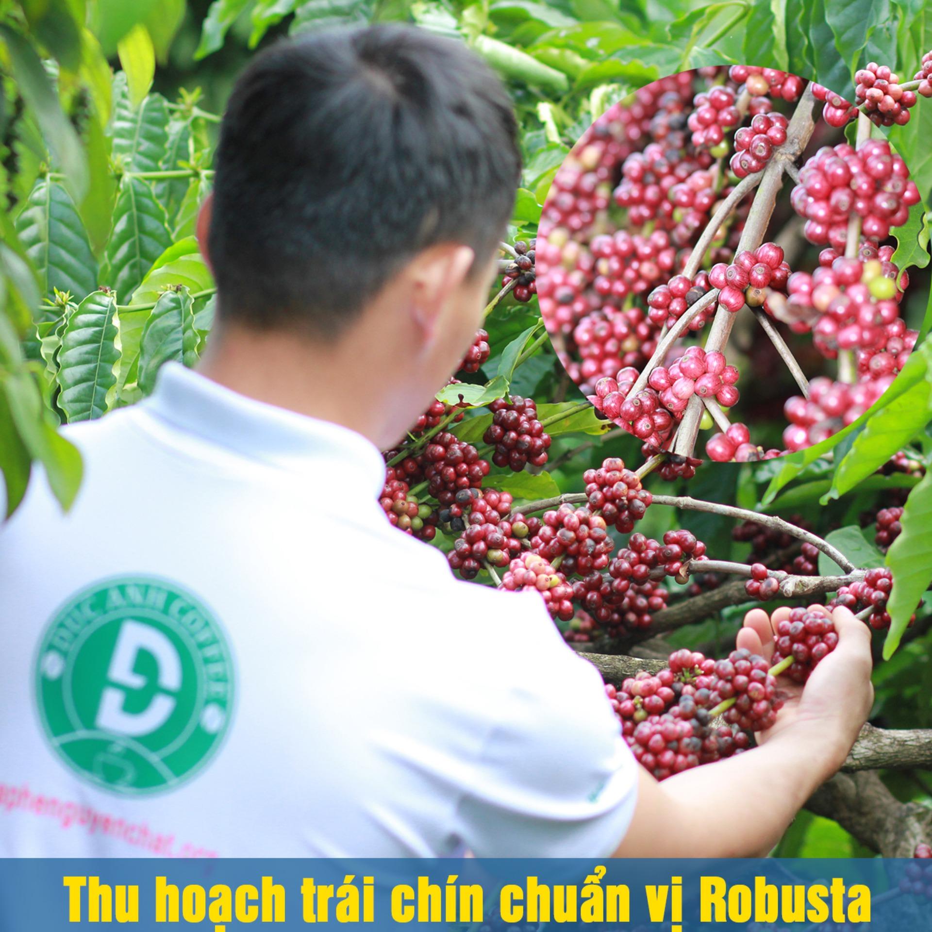 Cà Phê Đức Anh Robusta 1kg