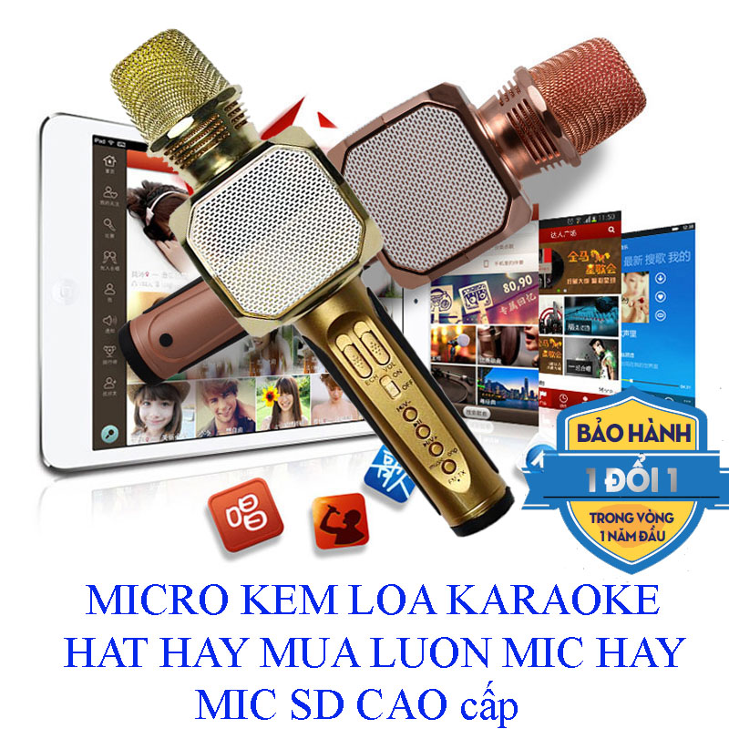 Micro kèm loa YS-10