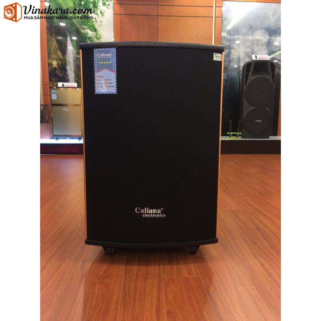 Loa kéo di động Caliana WD-15B