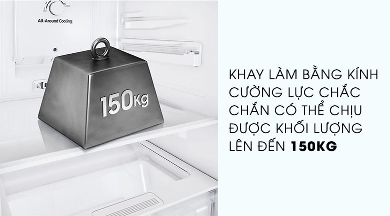 Tủ Lạnh Samsung RT22M4033S8SV 236L