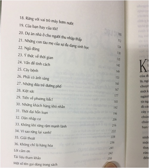 Đời Sống Bí Ẩn Của Cây