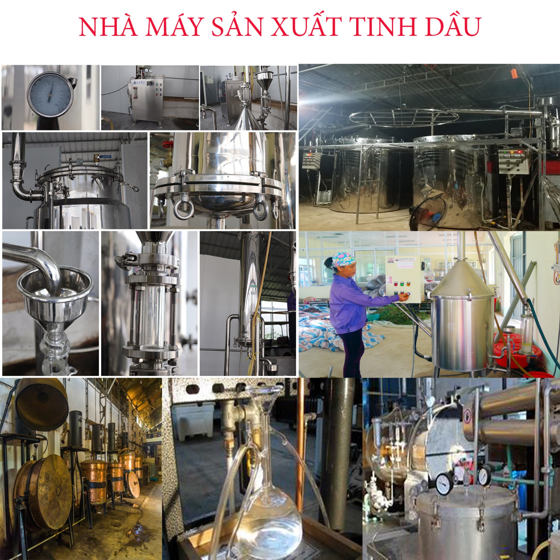Tinh dầu lài Viconic